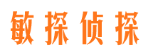 君山市私家侦探公司